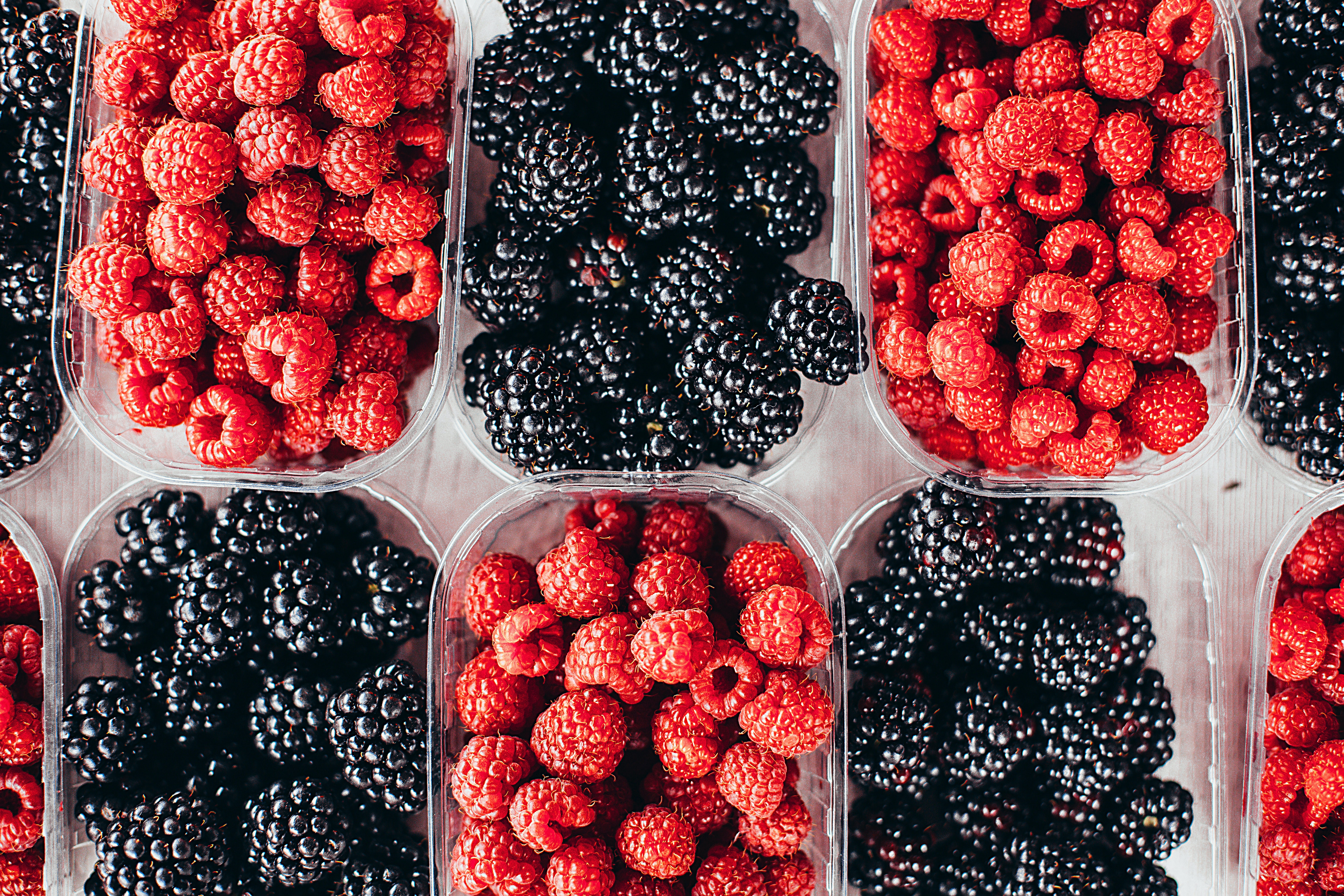 fruits
